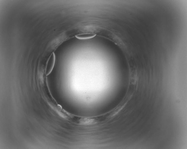 X0000083070334200702021301