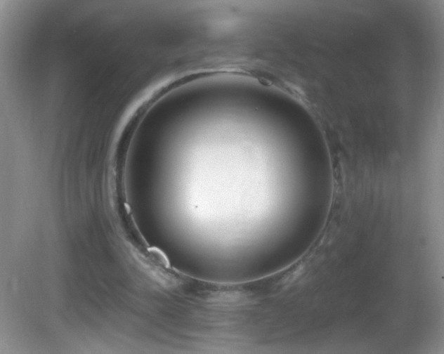 X0000083070342200702021300