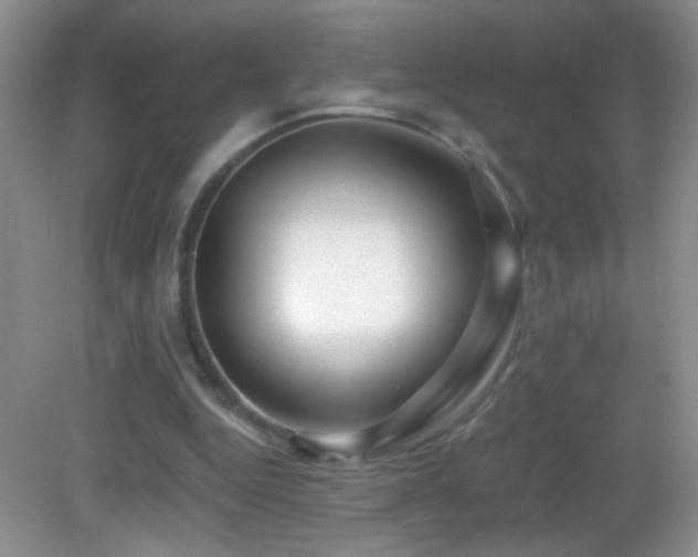 X0000083070344200702021300