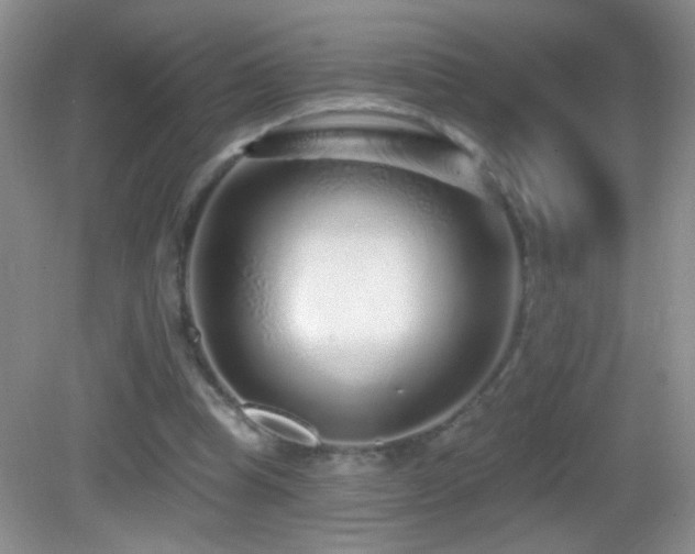 X0000083070345200702021300