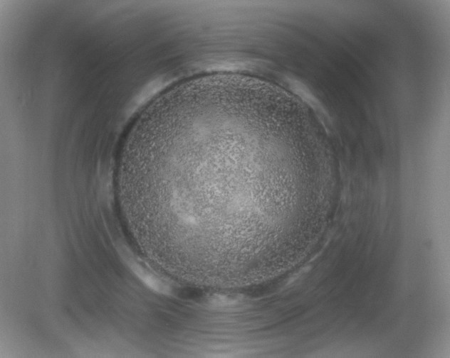 X0000083070346200702021300