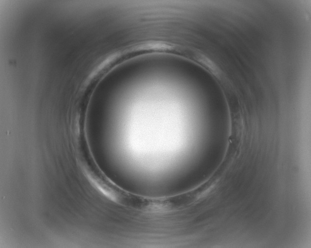 X0000083070350200702021301