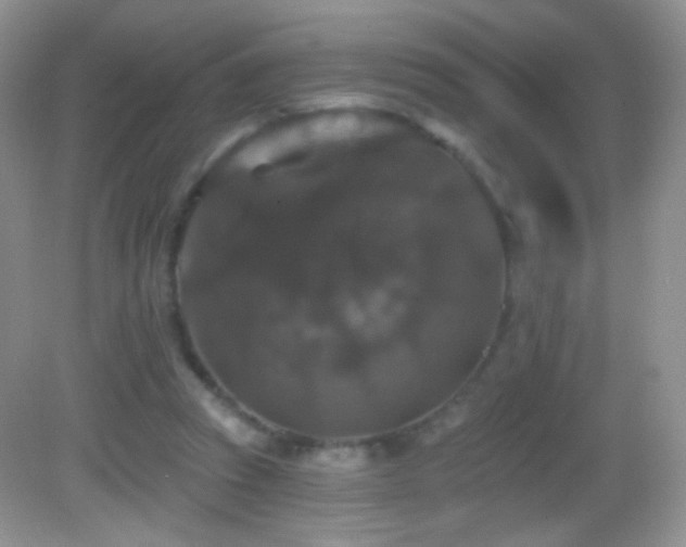 X0000083070353200702021301