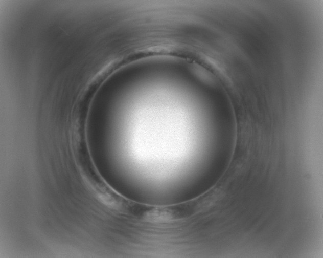 X0000083070354200702021301