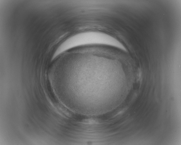 X0000083070356200702021301