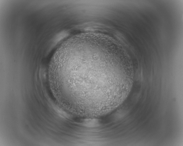 X0000083070363200702021301