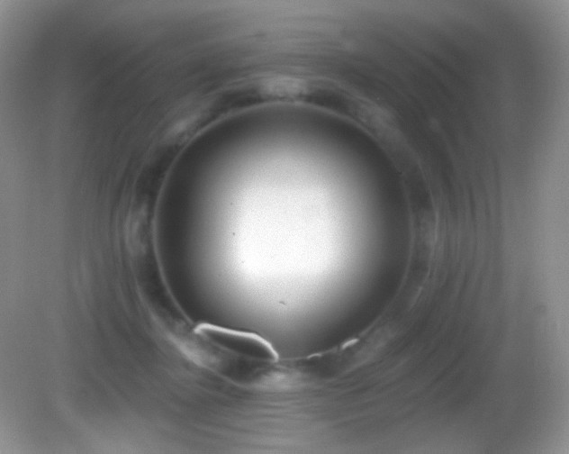 X0000083070364200702021301