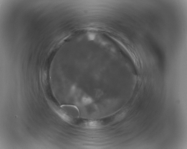 X0000083070365200702021301