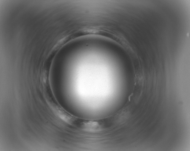 X0000083070374200702021301