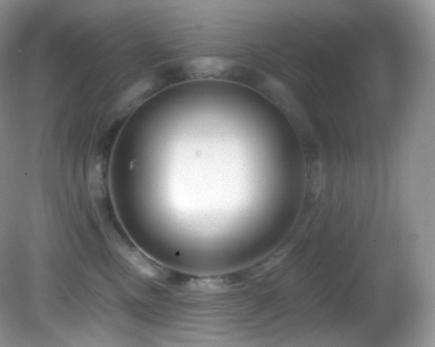 X0000083070378200702021301