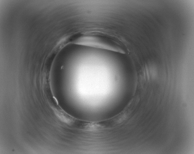 X0000083070379200702021301