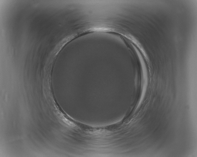 X0000083070385200702021300