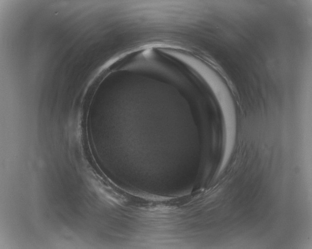 X0000083070387200702021300