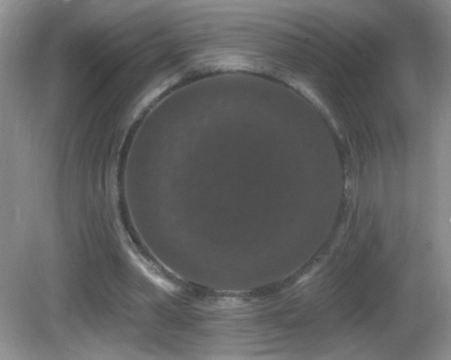 X0000083070390200702021300