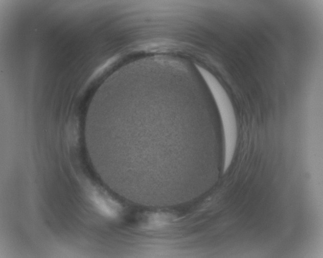 X0000083070400200702021300
