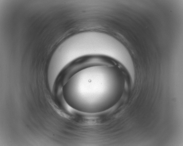 X0000083070405200702021300