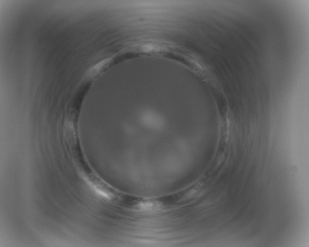 X0000083070415200702021300
