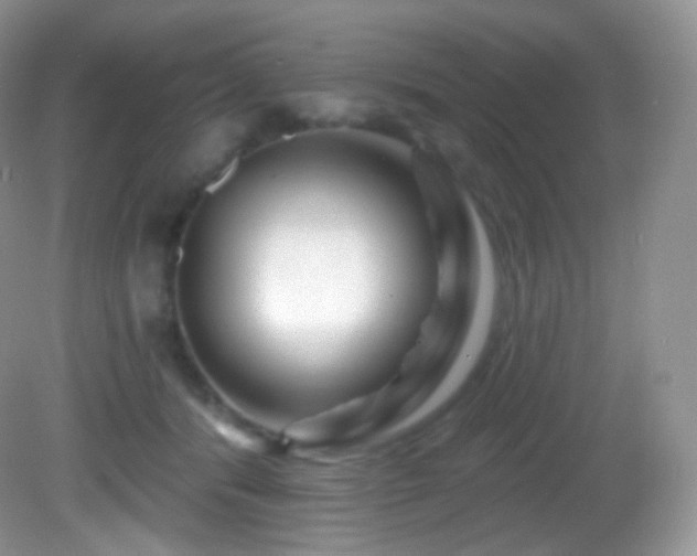 X0000083070416200702021300