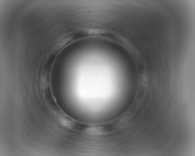 X0000083070422200702021300