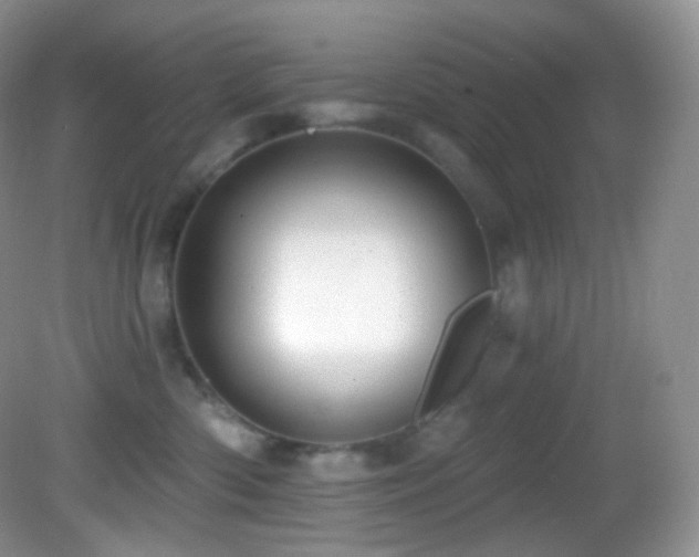 X0000083070426200702021300