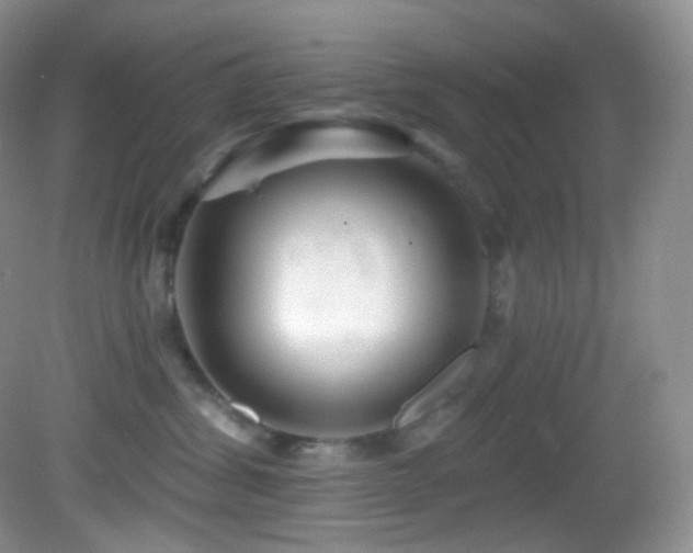 X0000083070428200702021300
