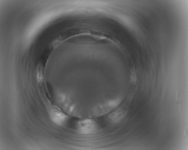 X0000083070431200702021300