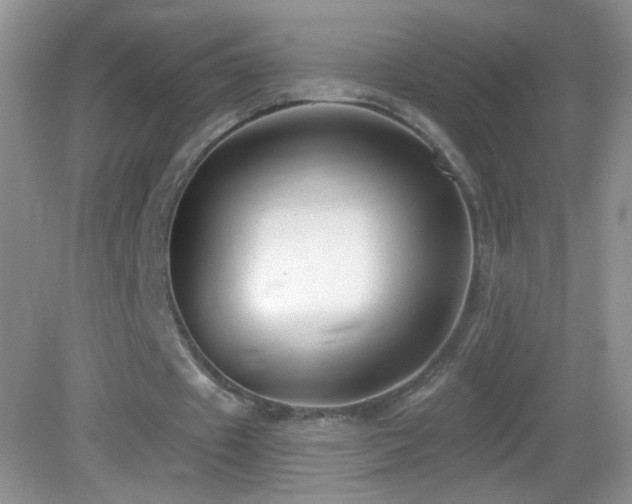 X0000083070433200702021259
