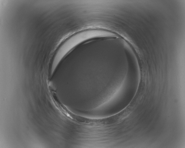 X0000083070434200702021259