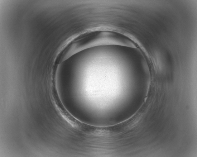 X0000083070437200702021259