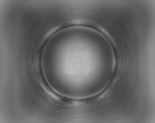 X0000083070442200702021259