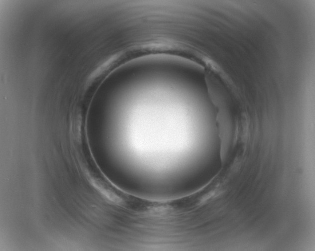 X0000083070446200702021259