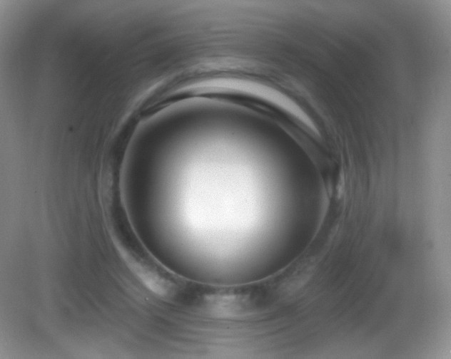 X0000083070448200702021259