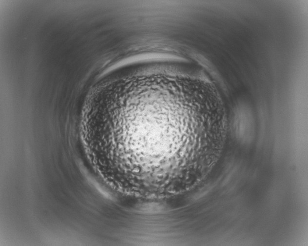 X0000083070449200702021259