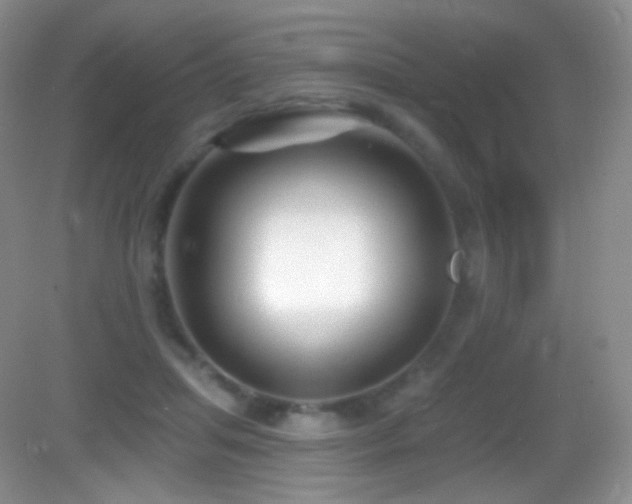 X0000083070455200702021259