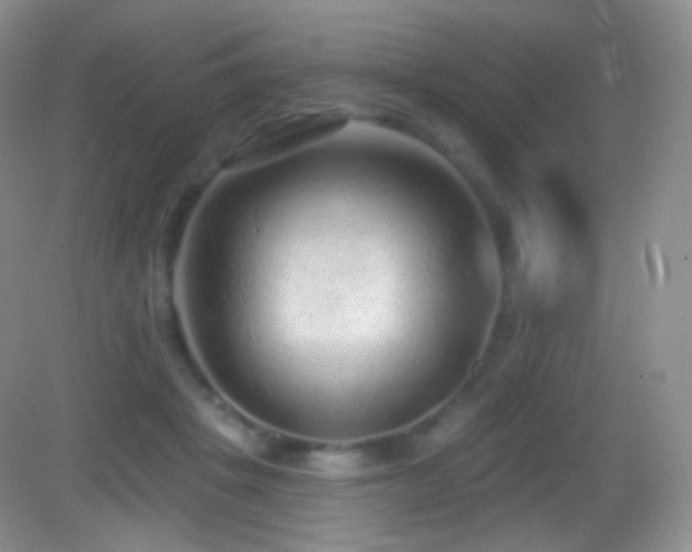 X0000083070457200702021259