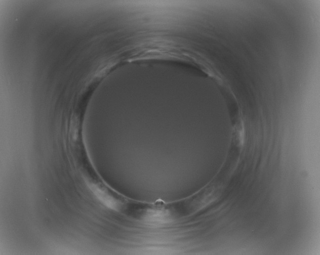 X0000083070458200702021259
