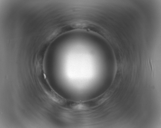 X0000083070460200702021259