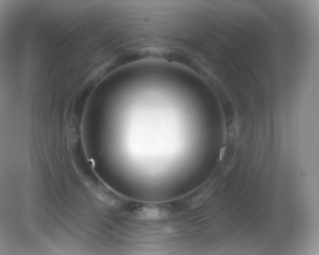 X0000083070464200702021259