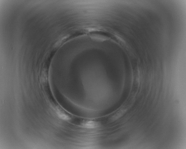 X0000083070467200702021259