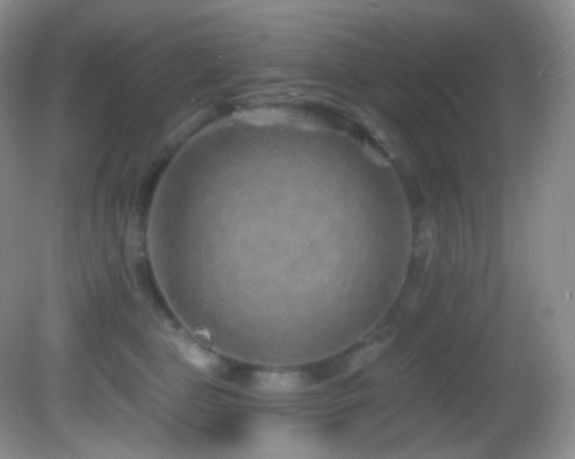 X0000083070469200702021259