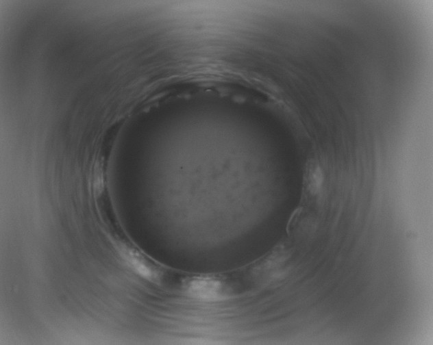 X0000083070471200702021259