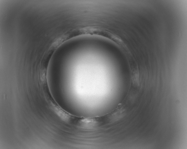 X0000083070477200702021259