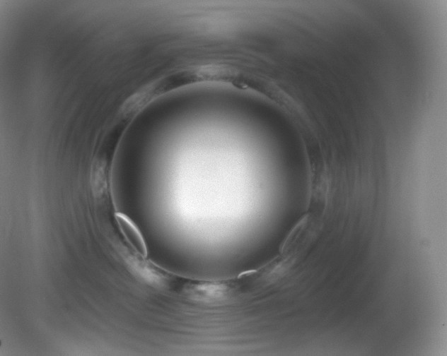 X0000083070478200702021259