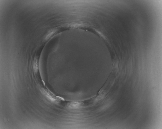 X0000083070479200702021259