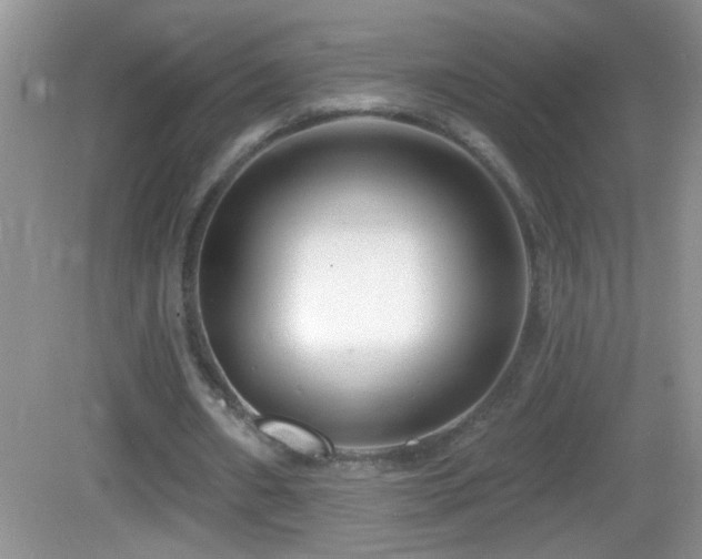 X0000083070482200702021259