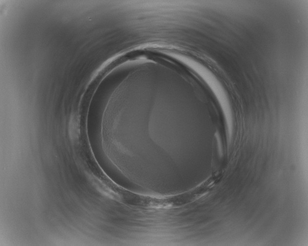 X0000083070484200702021259