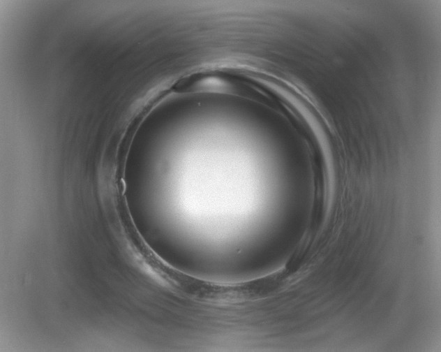 X0000083070485200702021259