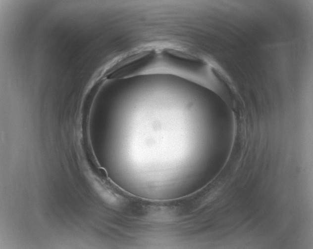 X0000083070486200702021259