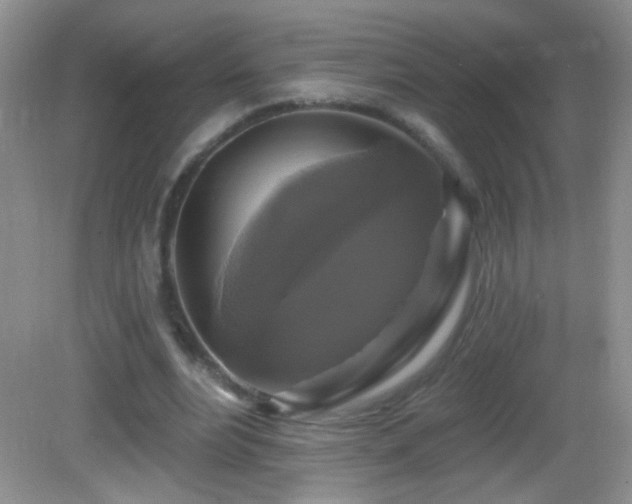X0000083070488200702021259