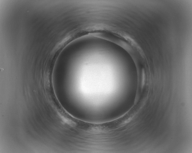 X0000083070489200702021259